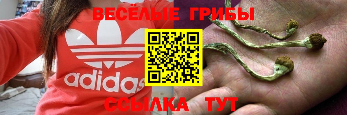 Галлюциногенные грибы мухоморы  цена наркотик  Псилоцибиновые грибы прущие грибы  Алейск  Вход с VPN 